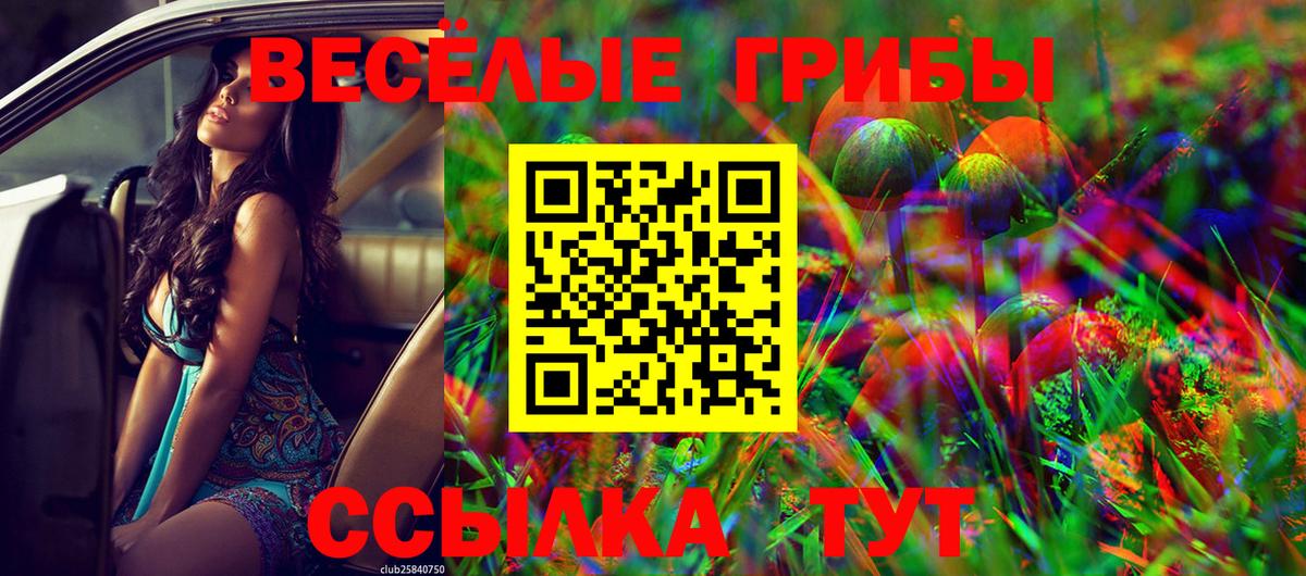 Галлюциногенные грибы MAGIC MUSHROOMS Сызрань