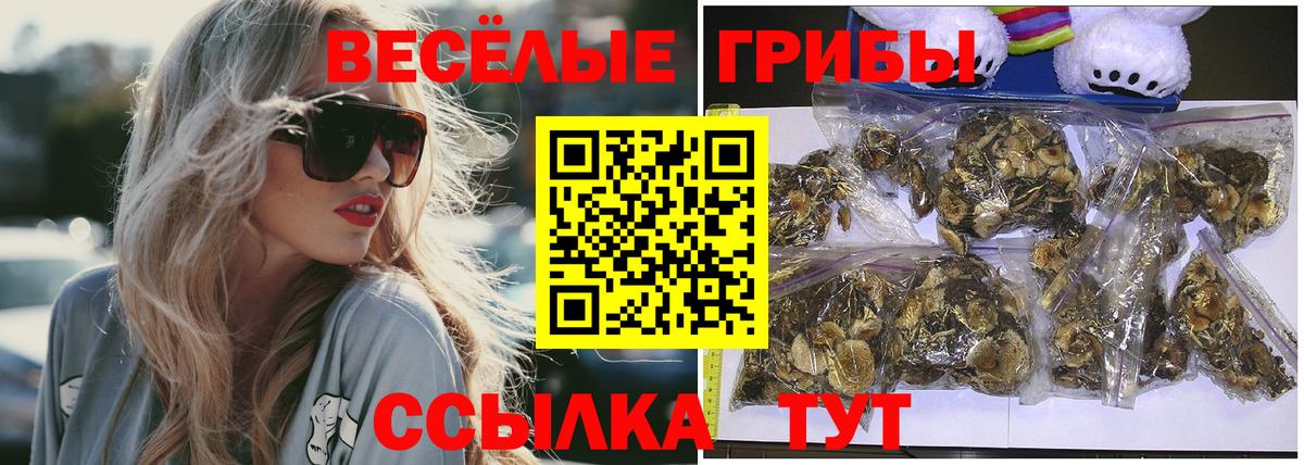 Псилоцибиновые грибы GOLDEN TEACHER  даркнет сайт  Сызрань  Вход с VPN 